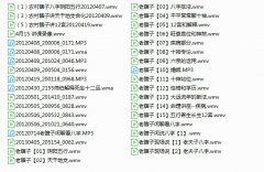 <b>瞎子算命之老瞎子民间盲派</b>